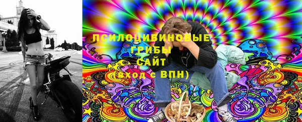 дживик Кулебаки