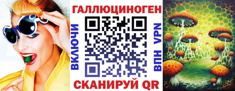 купить наркотик  Кущёвская  KRAKEN зеркало  Галлюциногенные грибы Psilocybine cubensis 